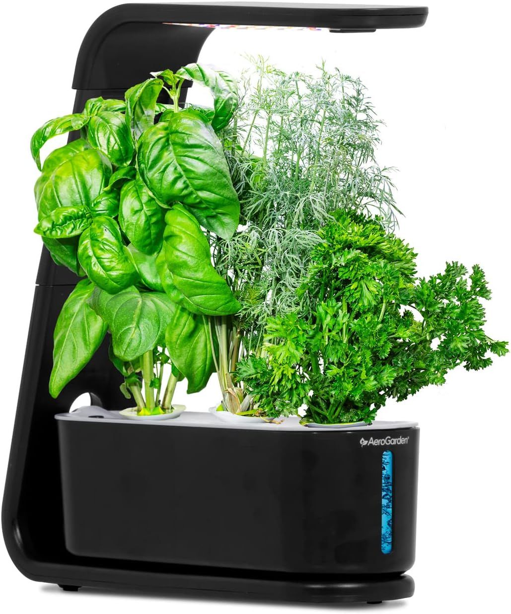 AeroGarden Sprout with Gourmet Herbs Seed Pod Kit