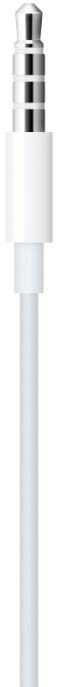 Apple EarPods with 3.5mm Headphone Plug (2pack)