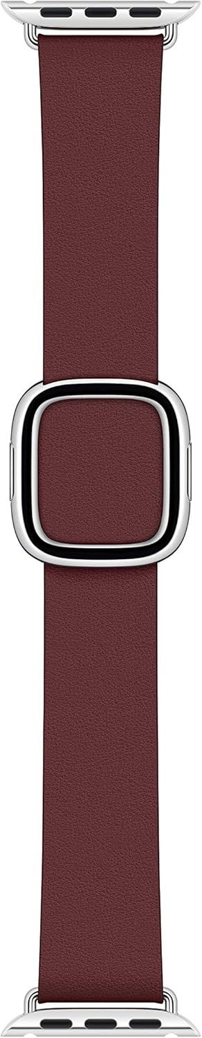 Apple Watch Modern Buckle Band (40mm)