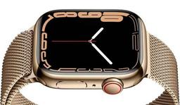 Apple Watch Series 7