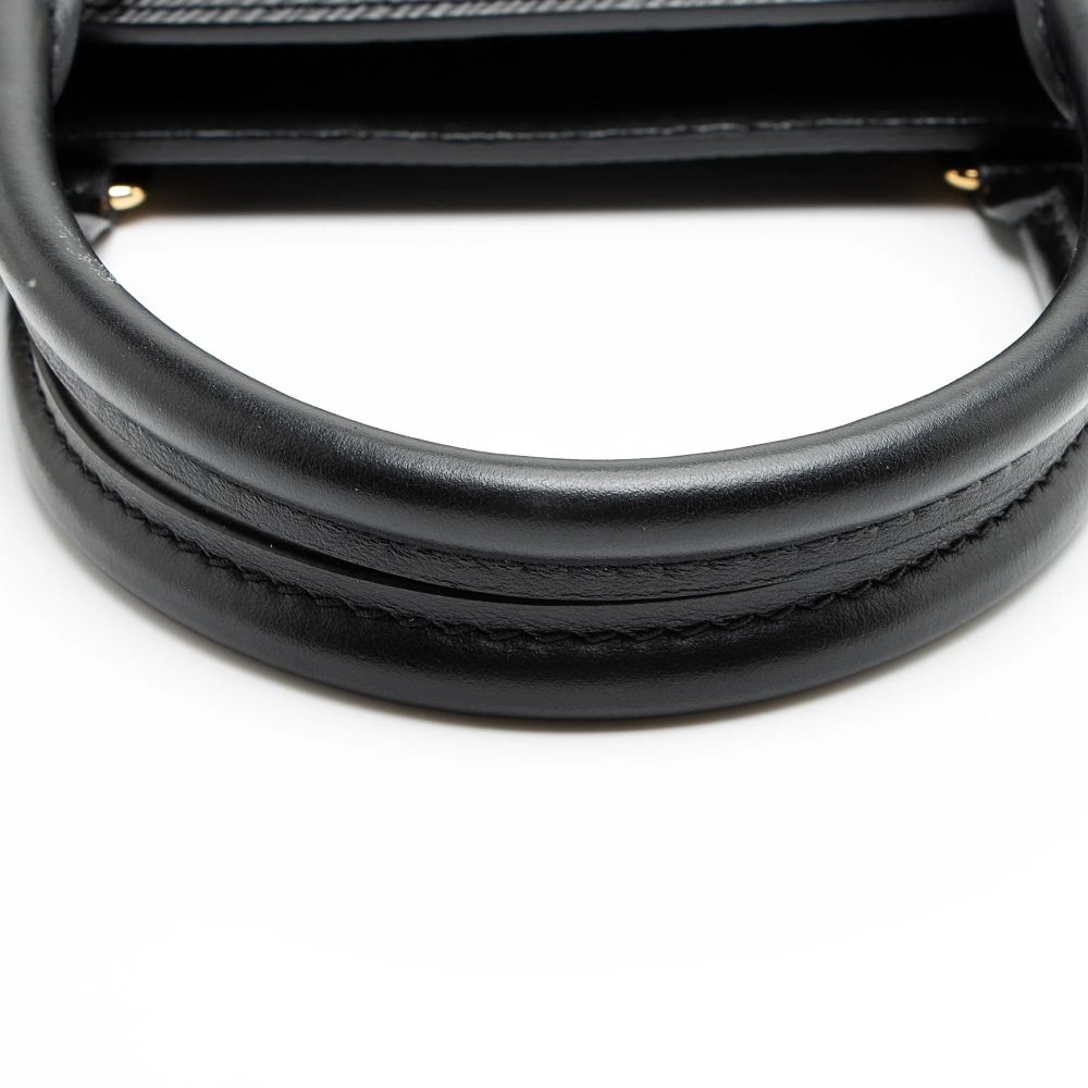 Louis Vuitton Epi Leather Sac Plat PM Tote