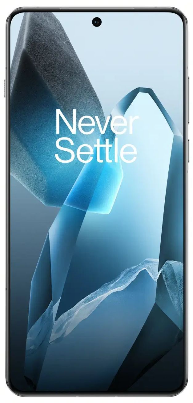 OnePlus 13