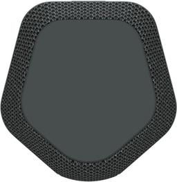 Sony XE200 X-Series Portable Wireless Speaker